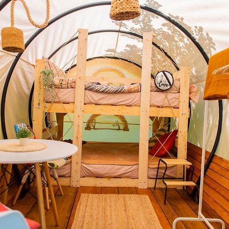 Hotel Dragonfly Gardens - The Wagons Brašov Exteriér fotografie
