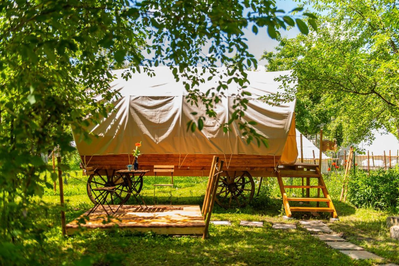 Hotel Dragonfly Gardens - The Wagons Brašov Exteriér fotografie