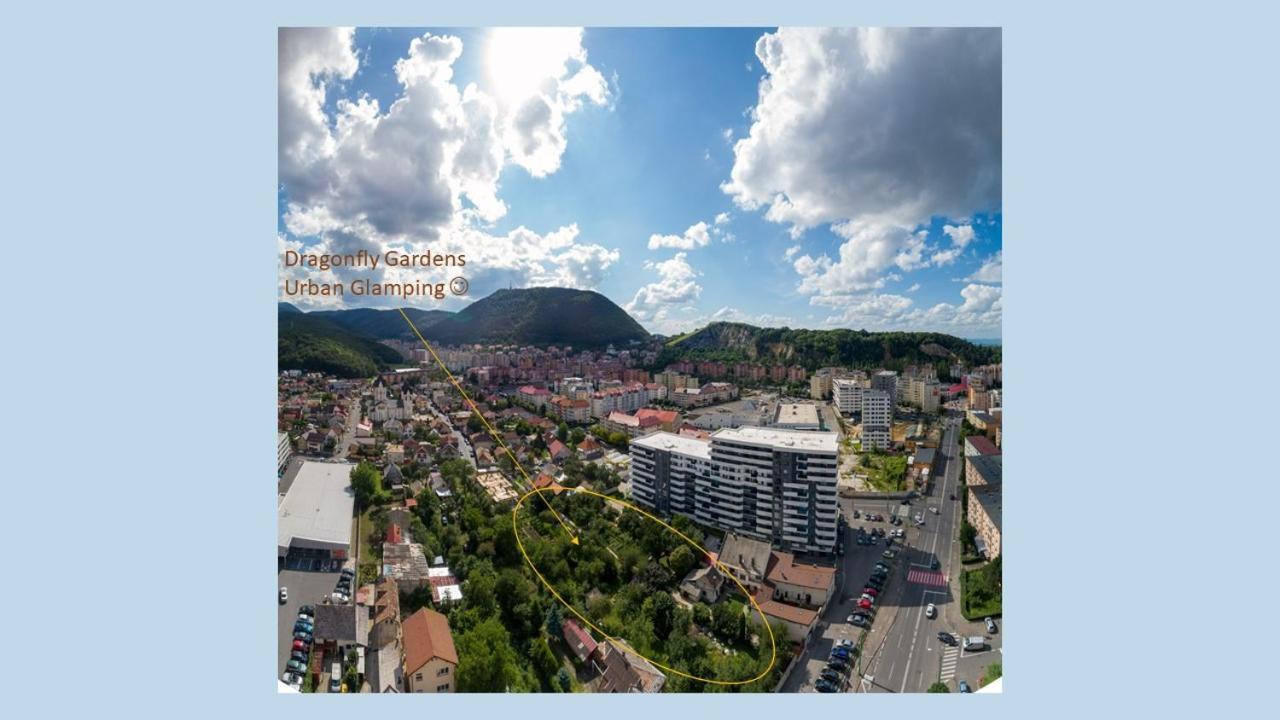 Hotel Dragonfly Gardens - The Wagons Brašov Exteriér fotografie