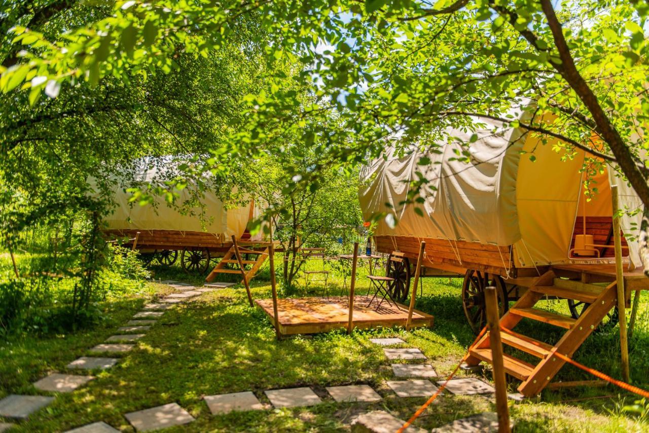 Hotel Dragonfly Gardens - The Wagons Brašov Exteriér fotografie