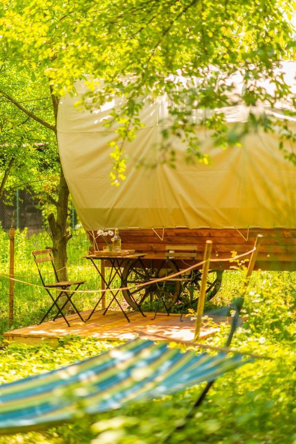 Hotel Dragonfly Gardens - The Wagons Brašov Exteriér fotografie