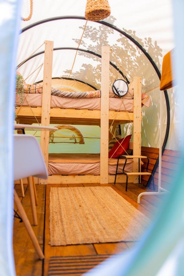 Hotel Dragonfly Gardens - The Wagons Brašov Exteriér fotografie