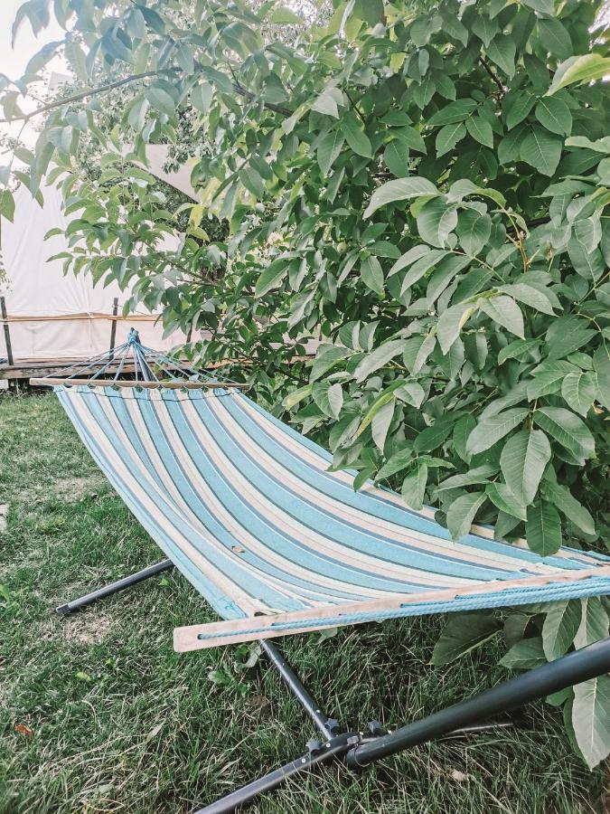 Hotel Dragonfly Gardens - The Wagons Brašov Exteriér fotografie