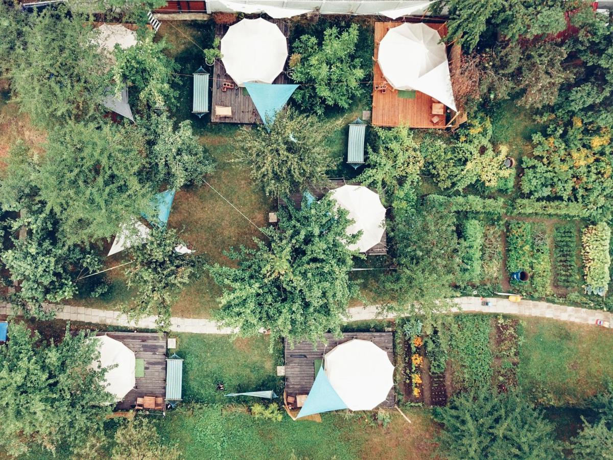 Hotel Dragonfly Gardens - The Wagons Brašov Exteriér fotografie