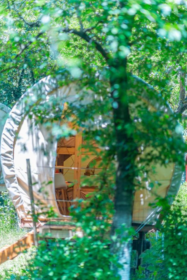Hotel Dragonfly Gardens - The Wagons Brašov Exteriér fotografie
