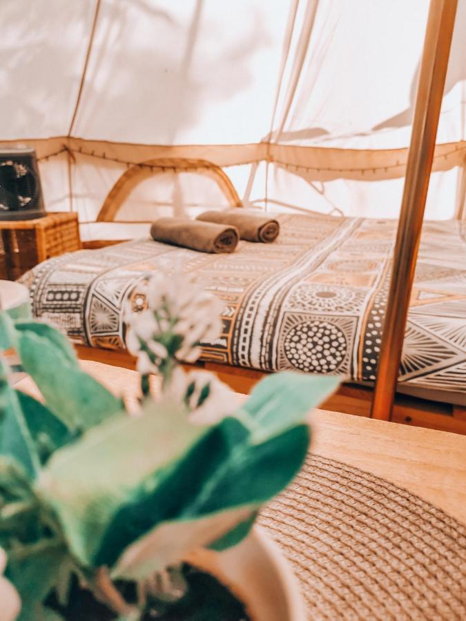 Hotel Dragonfly Gardens - The Wagons Brašov Exteriér fotografie