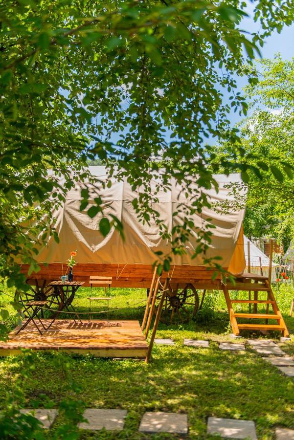 Hotel Dragonfly Gardens - The Wagons Brašov Exteriér fotografie