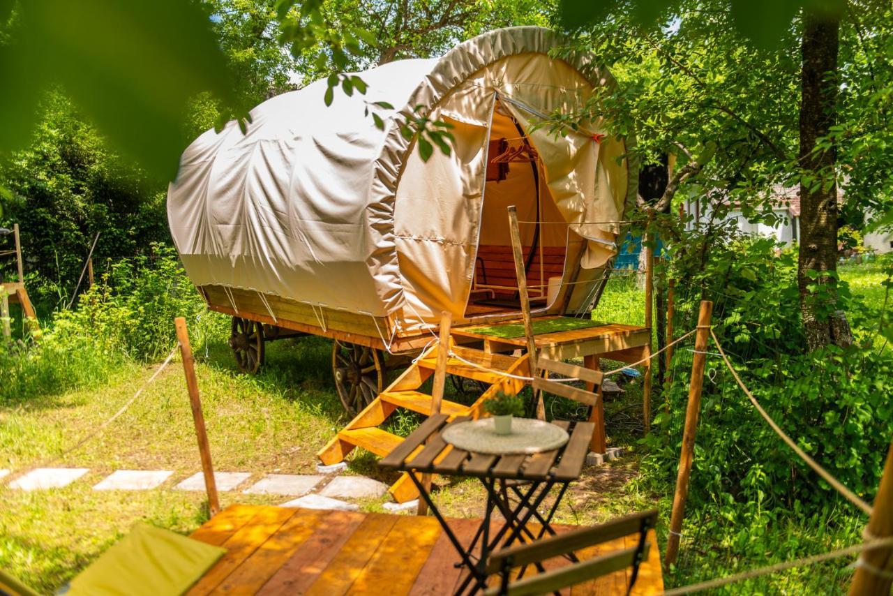 Hotel Dragonfly Gardens - The Wagons Brašov Exteriér fotografie