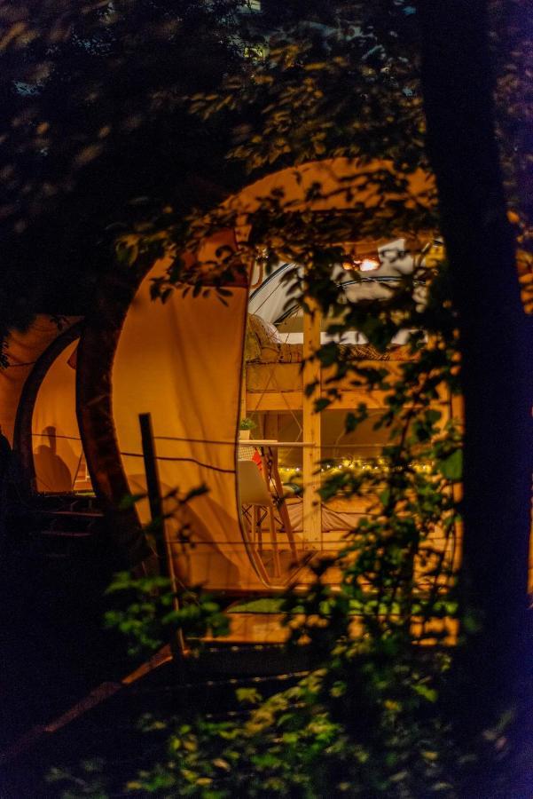 Hotel Dragonfly Gardens - The Wagons Brašov Exteriér fotografie