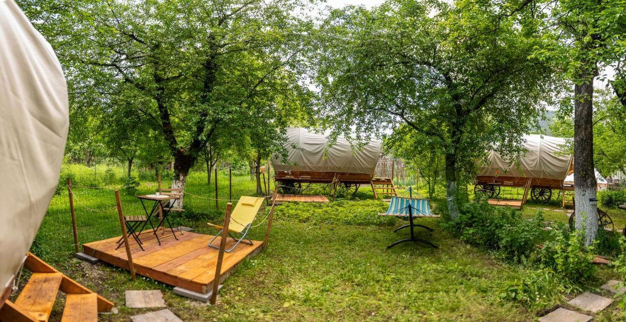 Hotel Dragonfly Gardens - The Wagons Brašov Exteriér fotografie